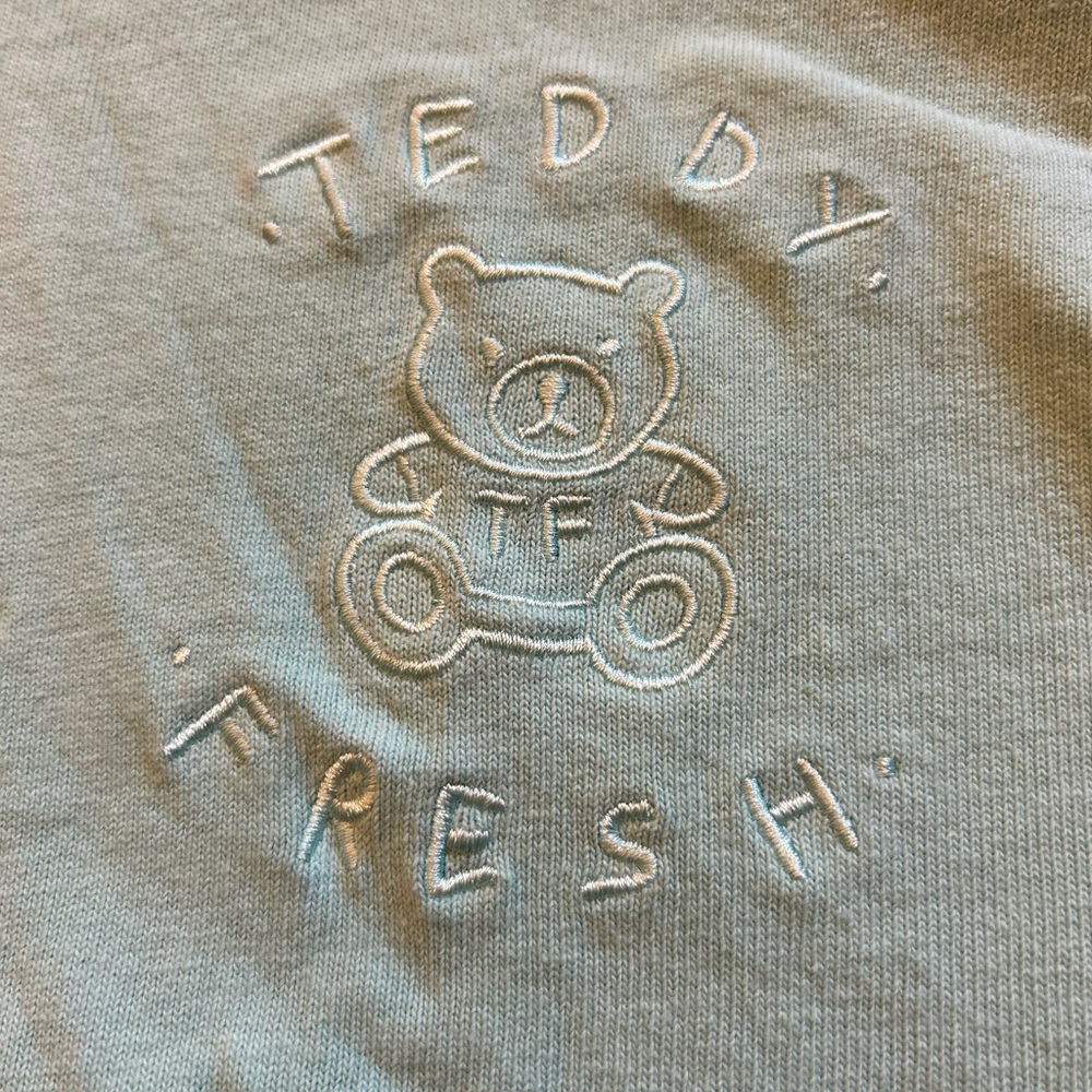 Teddy Fresh Colorblock Tee in Blue, Pink, and Cream - Picture 5 of 12